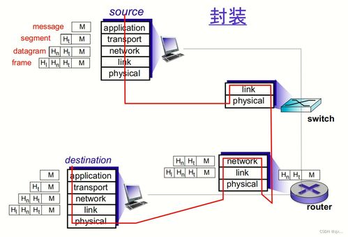計算機網(wǎng)絡與因特網(wǎng) 網(wǎng)絡與信息安全軟件開發(fā)的關鍵基礎