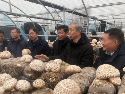 省“四有四化”食用菌專(zhuān)項(xiàng)2022~2023年度工作推進(jìn)會(huì)暨泌陽(yáng)花菇高效生產(chǎn)新技術(shù)觀(guān)摩培訓(xùn)會(huì)召開(kāi)